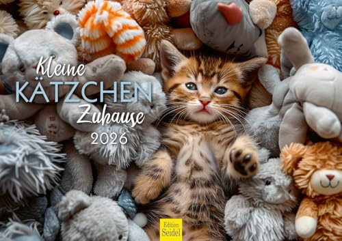 Edition Seidel Premium Kalender Kleine Kätzchen Zuhause 2026 Format DIN A3 Wandkalender Katzenkalender Haustiere Kätzchen Katze Kater Kitten Katzenkinder Katzenbabys