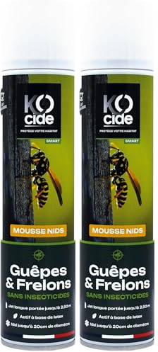 K-OCIDE – Mousse Guêpes et Frelons - au Latex - Détruit les Nids - Idéale Accès Difficiles - Fabrication Française - 300 ml (Lot de 2)