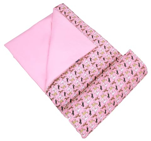 Wildkin Kinderschlafsack für Jungen und Mädchen, Inklusive Kissen und Stuff Sack, perfekte Größe für Schlummer-Partys, Muster mit unserem Nap Mats koordinieren und Brotdosen
