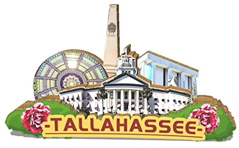 USA Tallahassee Magnet Kühlschrankmagnet Holz 3D Sehenswürdigkeiten Reise Sammlerstück Souvenirs Dekoration handgefertigt