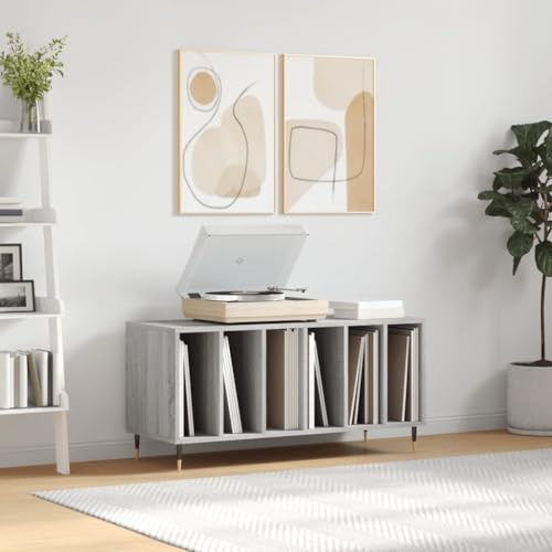 Tidyard Caja de almacenamiento para discos de vinilo, colección de discos de vinilo, color gris, Sonoma, 100 x 38 x 48 cm
