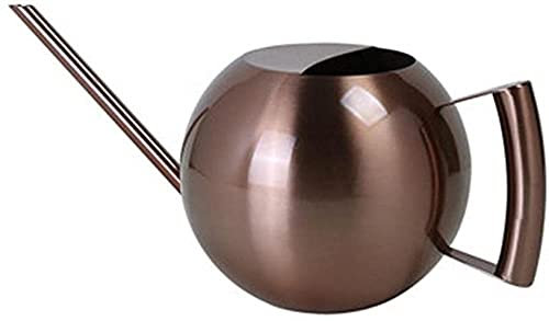 Annaffiatoio da giardino in Acciaio Inox interno ed esterno con Bocca Lunga per Irrigazione Giardinaggio Bonsai 1000ml-Rame