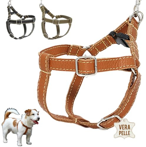 DOGISSIMI Hundegeschirr für kleine und mittlere Hunde, Verstellbares und ergonomisches Hundegeschirr aus echtem Leder, handgefertigt in Italien, Leder-Hundegeschirr (L, Leder)