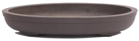 generisch Tokoname Bonsaischale von Yamaaki - 33,5 x 22,5 x 5,5 cm - oval - unglasiert - 58019