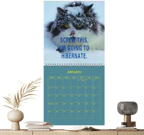 Calendrier Mural avec Chats 12 Mois Amusants Décoratifs En Colère 2027