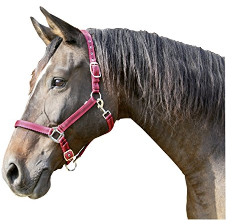 Kerbl Halfter Mustang 2-Fach verstellbar, Rot/Schwarz, 2, 321966