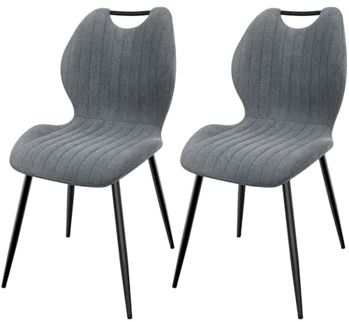 LEWE Esszimmerstühle 2er Set, Küchenstühle Wohnzimmerstuhl Polsterstuhl mit Metallbeine,Stuhl mit Stoff-Rückenlehne, Stühle für Esszimmer Wohnzimmer Küche