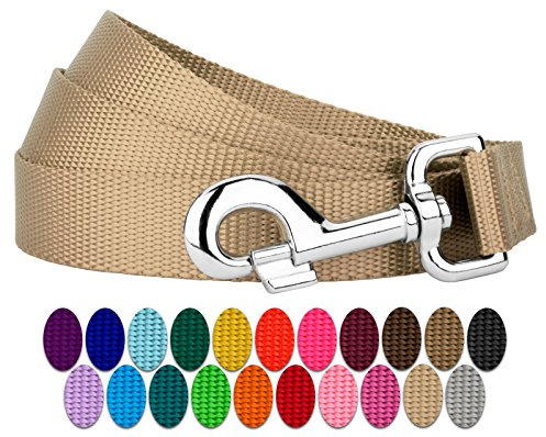 Country Brook Petz - Everyday Nylon Dog Leash - Strong, Durable, Solid Color Leash with Easy to Use Snap - 25+ Colors (1 Inch Wide, 6 Foot, Copper Gold)