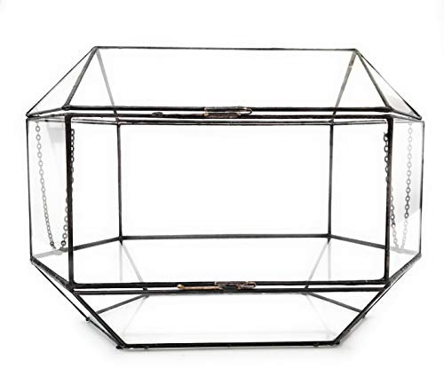 Terrarium géométrique pour plantes - En verre - Boîte avec couvercle et compartiment de rangement - Fabriqué à la main en Angleterre L Noir