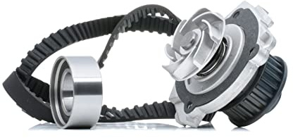 RIDEX 3096W0109 Wasserpumpe + Zahnriemensatz Zähnezahl: 125 15,00 mm mit Wasserpumpe für FIAT PANDA (169) Seicento / 600 Schrägheck (187) Panda Schrägheck (141) PUNTO (176) CINQUECENTO (170) PALIO