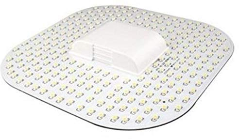 Kosnic Kled12std/4p-w65 GR10q 4 broches DD 12 W LED Commercial, la lumière du jour Blanc