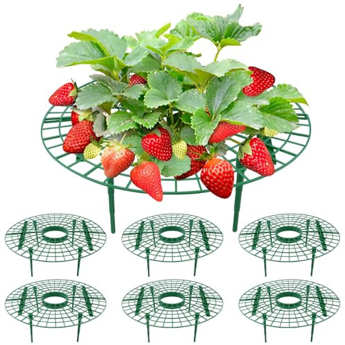 BSTDAYEVER Soporte para Fresas Soportes para Plantas de Fresa Set de 6 Rejillas para Soporte de Fresa Reutilizable Marco Plantación Fresa 30 × 10cm para Plantación de Balcones e Invernaderos