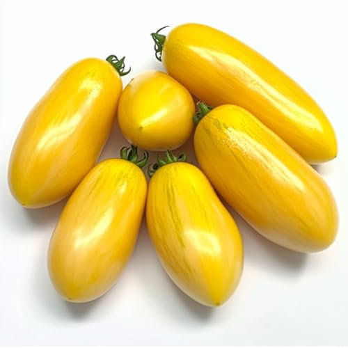 40 Semi di Pomodoro Banana Legs - SemiSelvaggio Permacultura