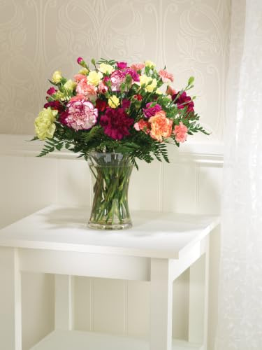 Sendabunch Mixed Spray Carnation Bouquet, 20 Fresh Stems, Hand-Arranged Spray Carnations with Seasonal Greenery & Gift Card