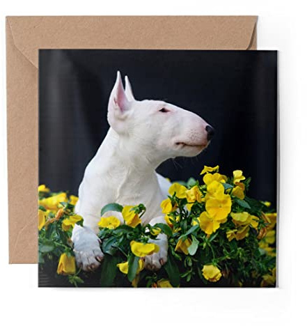 1 x Grußkarte (Fotoeinsatz) – Englischer Bullterrier Welpe Hund – blanko Geburtstagsfeier Jahrestag #21500