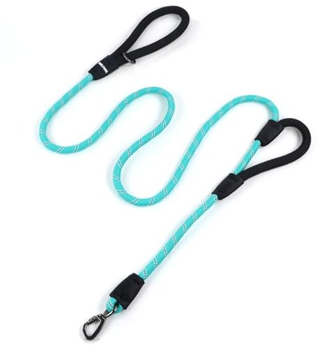 Wolfone Lake Green - Correa para Perro de 2,1 m con Doble asa Extra Acolchada, Clip de mosquetón de Metal con Bloqueo, Abrazaderas de Silicona duraderas, Correa de Cuerda Reflectante, Correa de Perro