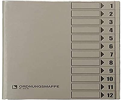 Bene 83800GR Ordnungsmappe mit Schutzumschlag, grau
