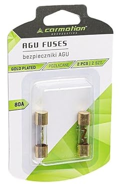 AGU Sicherungen 80A 2Stück Glasrohr Gold Überzogen Auto Power Schutz Linie Tube Audio Power
