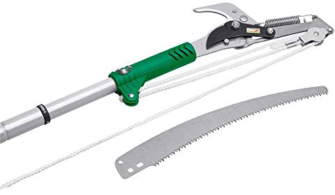 Masidef member of the würth group Svettatoio con Segaccio e Manico Telescopico, Verde, 4x22x169 cm