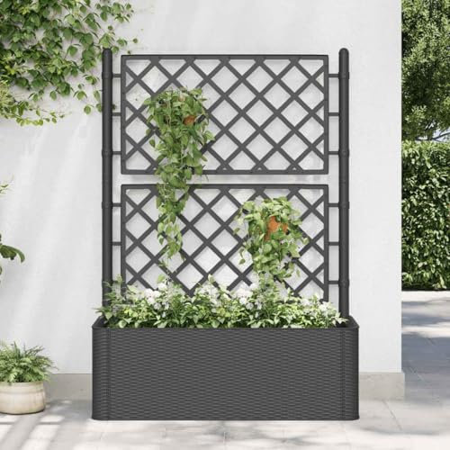 Lauuoeriau Muebles Home Garden Cama elevada con enrejado y sistema de riego automático, color antracita