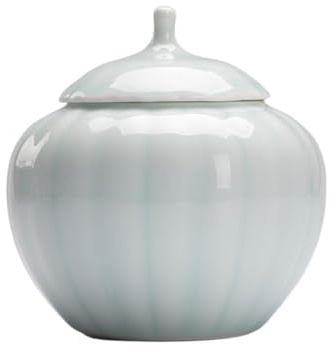 XYNSNDB Sockerburk Bulk teförvaringsburkar förseglade keramiska bärbara små med lock Creative Tea Canister