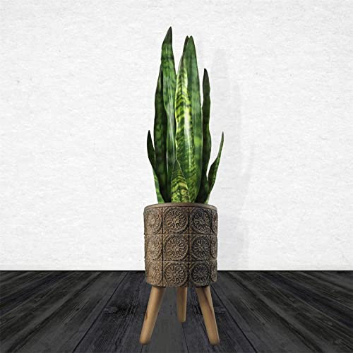 Leaf Extra Large Cachepot Planters, Wood, 40cm Zandi Flowers