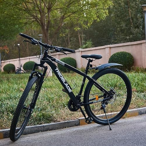 LSBIKE 24/26/27,5/29 Zoll Premium Mountainbike, 21 Gang Schaltung Erwachsene Outdoor Fahrrad, Gabelfederung, Doppel Scheibenbremsen, Verstellbarem Ergonomischen Sitz, MTB Fahrrad (Schwarz, 24 Zoll)