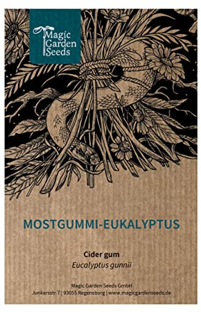 Mostgummi-Eucalyptus (Eucalyptus gunnii) ca. 10 Samen des exotischen Kleinbaums aus Australien, Kübelpflanze, Schnittblume, Heilpflanze