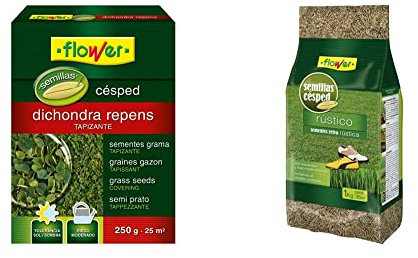 Flower Semillas Dichondra Repens, 250 gr & Semillas Césped Rústico, 1 kg