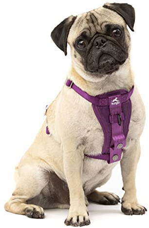 Kurgo TRU-Fit Autosicherheitsgeschirr für Hunde, Mit gepolstertem Brustteil und D-Ring, Mit Autogurt, Größe XS, Lila