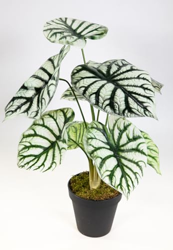 Seidenblumen Roß Alocasia Silver Dragon 42cm grün-weiß DP künstliche Pflanzen Kunstpflanzen Dekopflanzen Pfeilblatt