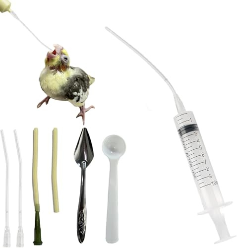 Tubo di alimentazione per uccelli giovani, contiene una siringa da 10 ml con tubo, accessori per piccioni, alimentazione alimentatore, strumento di alimentazione manuale per uccelli e pappagalli