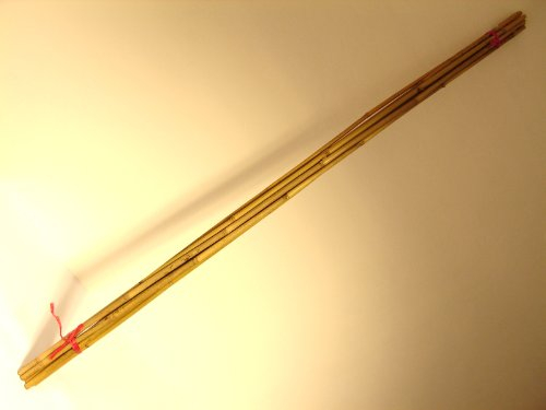 Lucht Tonkin Bambusstock Bambustab Bambus Holzstab Pflanzstütze Rankstab Rankhilfe Stab Pflanzstab 180 cm, 4x10 STK.