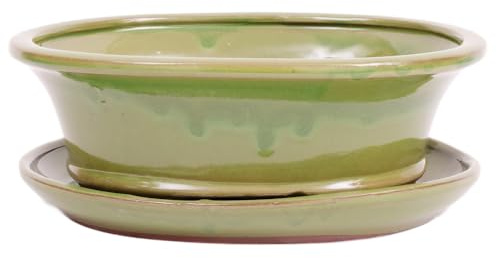Bonsai-Shopping Bonsai - Schale oval 26.5 x 21 x 9.5 cm mit Untersetzer grün 31130