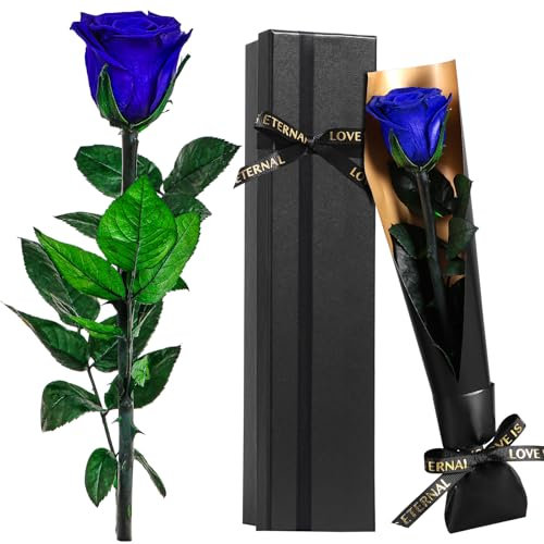Touloube Rosa Eterna, Ideas Regalos Mujer para Mama Novia Abuela Hermana Amiga Esposa, Regalo Aniversario Cumpleaños Navidad Mujer, Te Amo Regalo, San Valentín, Azul