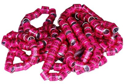 Xujuika Fågelfotring, 100 stycken duvor ringar med nummer, duvor identifieringsringar, duvor benringar 2025, duvringar färgglada, 8 mm, lätt att separera, fågelhus tillbehör