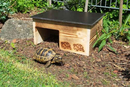 Premium Schildkrötenhaus (SH7) Gebrannt aus 20mm starken Vollholz - Wetterfest Schildkrötengehege Schildkröten Wetterfest Freilauf Gehege