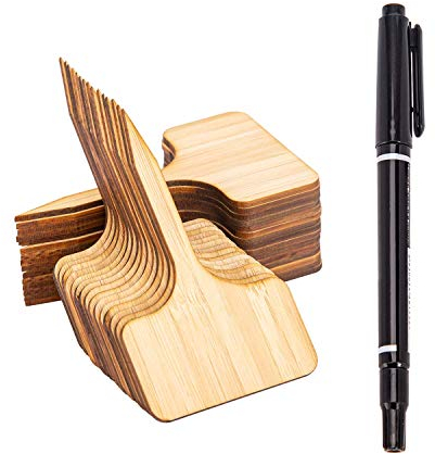 AIEX 30 pz Bambù Pianta Etichette per Piante di Bambù Etichetta in Legno Marcatori di Tipo T per Giardino Piante in Vaso Accessori Effetto Serra - 10 x 6 cm