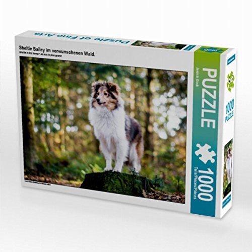 CALVENDO Puzzle Sheltie Bailey dans la forêt enchantée. 1000 Pieces 64 x 48 cm from Jasmin Bock