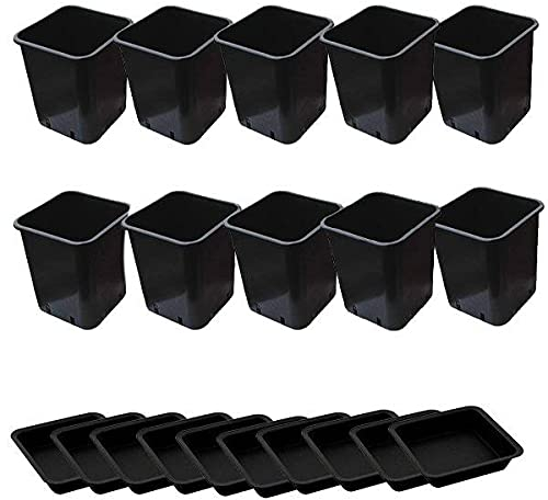 Idroponica Vaso quadro 6,5L+ Sottovaso - 18x18x23cm