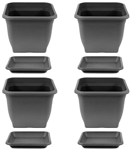 HAC24 Pflanztopf 28 x 28 cm Kunststoff incl. Untersetzer Eckig Anthrazit Pflanzkübel Pflanzuntersetzer Blumentopf Blumenkübel Pflanzcontainer (4)