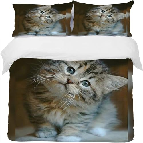 Bettwäsche 135x200 Bettbezug Winter Bettwäsche-Sets SüßE Tiere Katze Muster Weich Hypoallergen Baby Bettwäsche Set mit 2 Kissenbezüge 80x80 cm, Geeignet für Jungen Mädchen Kinder
