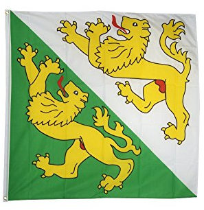 Fahne/Flagge Schweiz Kanton Thurgau - 150 x 150 cm + gratis Sticker, XXL-Fahne von Flaggenfritze®