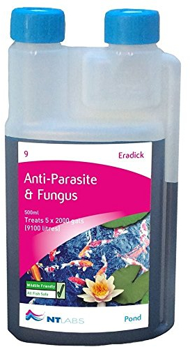 NT Labs Pond Eradick, Pond Fish Medicine, Anti-Parasite & Fungus, Parasite Treatment for Pond Fish, Treatment for Fungal Infections (1 Litre)