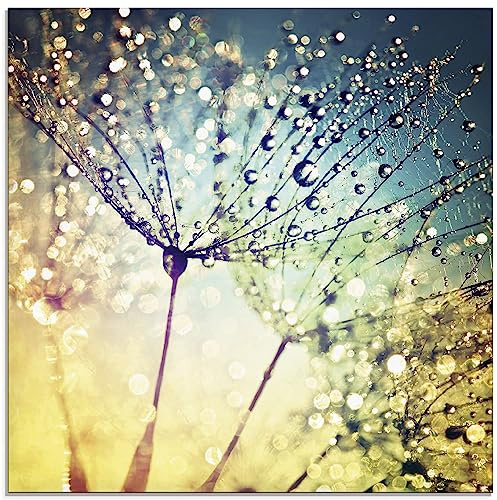 ARTLAND Wanddeko Glasbilder Wandbild Glas Bild einteilig 50 x 50 cm Quadratisch Natur Zauber Idyll Mikro Makro Pusteblume Blumen Wasser Tropfen Tau S9MI