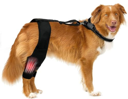 Protector de Rodilla para Perros, Protector de Patas traseras para Perros, Almohadillas Protectoras para Codo de Perro, Displasia, Artritis, Callos de Codo,ACL, para Perros recuperación (M)