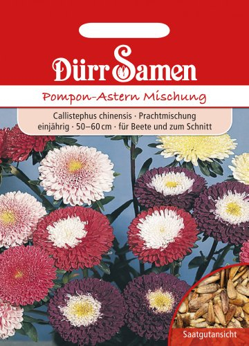 Dürr Samen 1309 Pompon-Astern Mischung (Asternsamen)