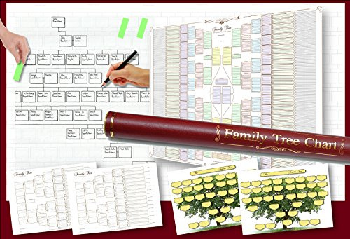 Pack of 6 Family Tree Charts in a Deluxe Tube