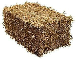 Shorefields Wheat Straw Full Bale 15-18kg- Animal Bedding for Horses, Rabbits, Guinea Pig - Low Dust Full Straw Bale - Comfortable & Soft Bedding for Pets