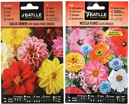 Dalia UNWIN semi enana doble vda & Mezcla Flores ALTAS anuales